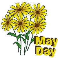 a may day greeting with yellow flowers